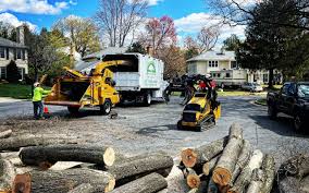 Best Commercial Tree Services  in Merritt Park, NY